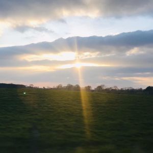 Meet your Posher, Tanya